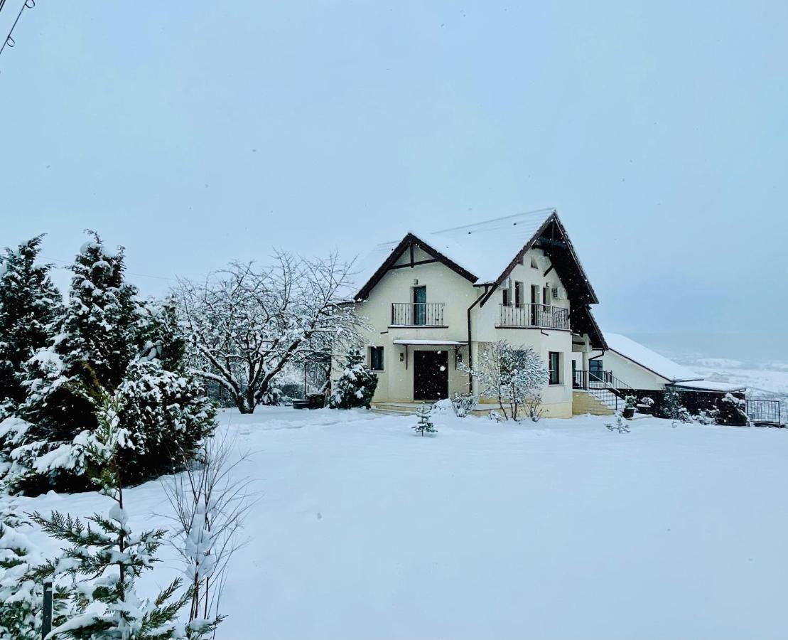 Hermesvilla Băile Felix Buitenkant foto