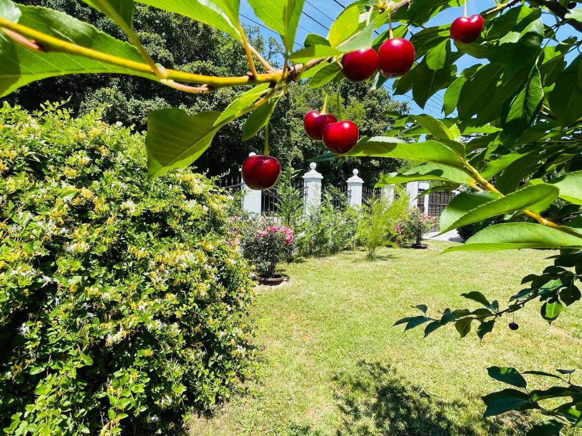 Hermesvilla Băile Felix Buitenkant foto