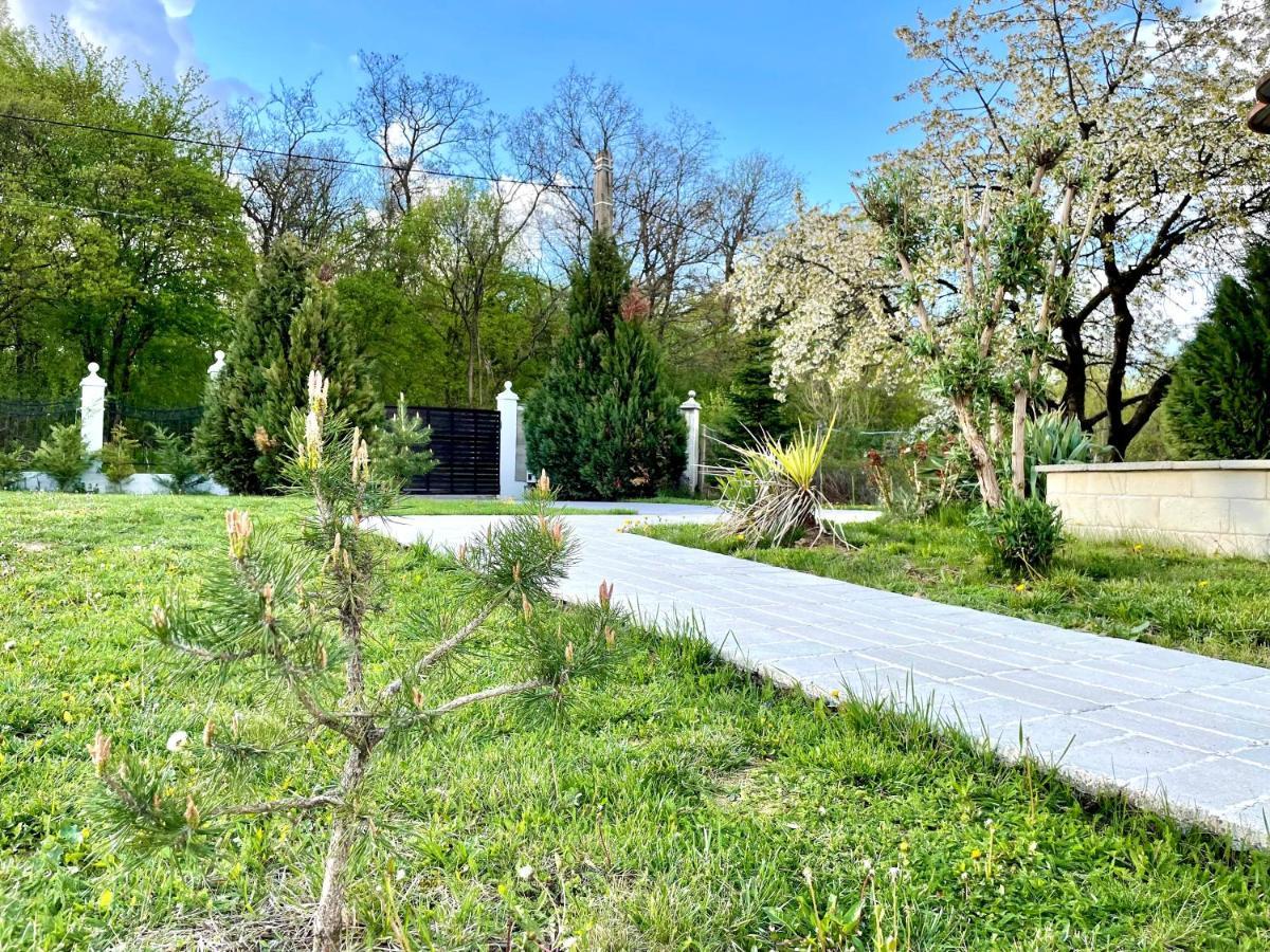 Hermesvilla Băile Felix Buitenkant foto